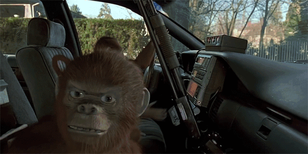 Image: https://us.v-cdn.net/5019667/uploads/editor/fj/v8j25ynq930p.gif
