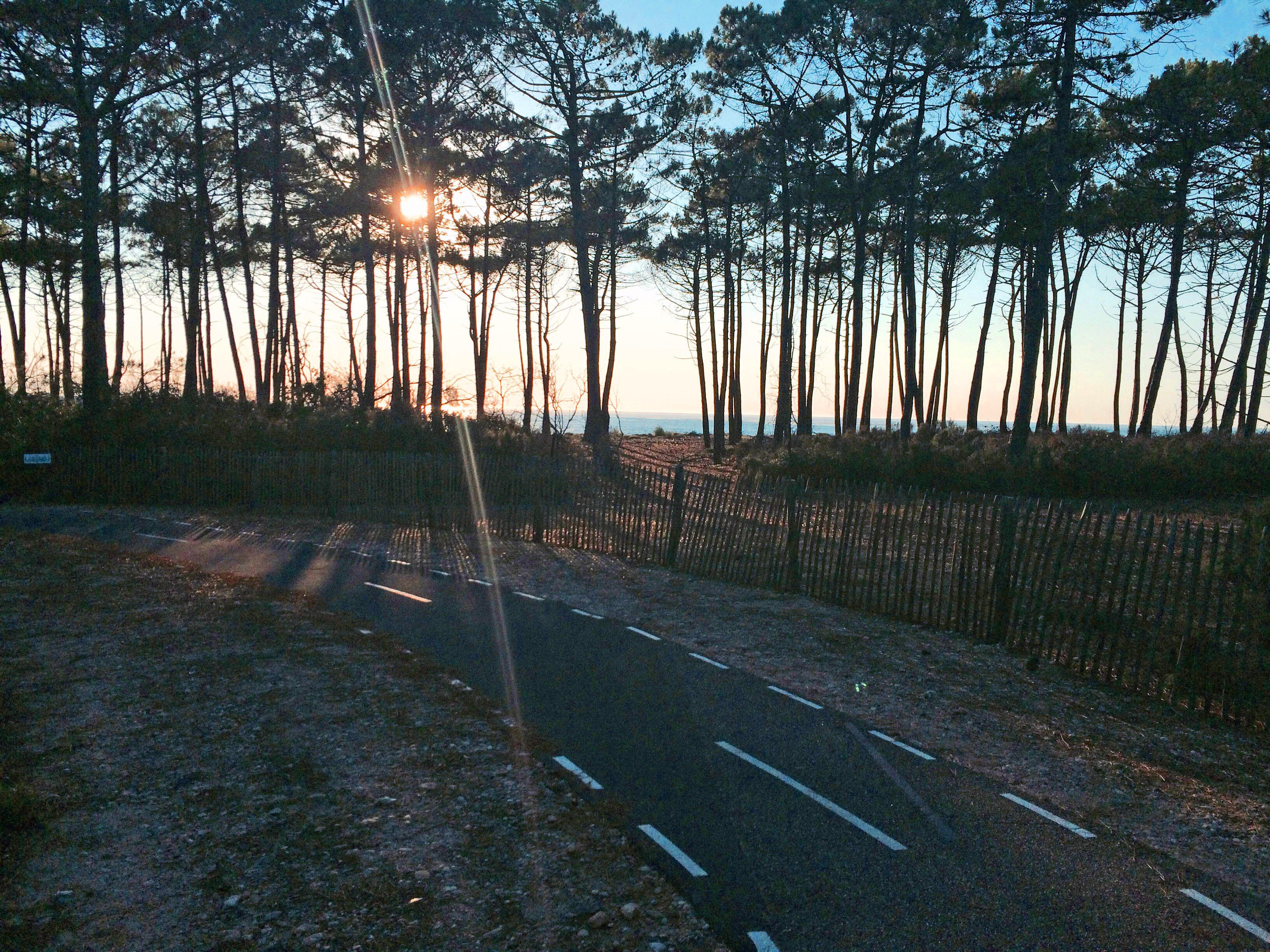 Image: https://us.v-cdn.net/5019667/uploads/editor/0p/le067c6dlum4.jpg