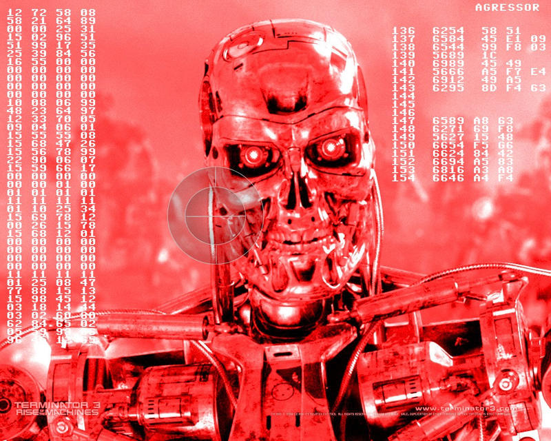 Image: http://img03.deviantart.net/b517/i/2007/047/e/f/terminator_view_by_agressor3.jpg
