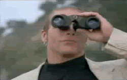 Image: https://us.v-cdn.net/5019667/uploads/editor/0n/k2agmadsntbp.gif