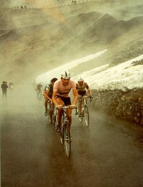 Image: https://i.pinimg.com/564x/7b/6d/0e/7b6d0e5aedf12e9378b99dd3551d31db.jpg