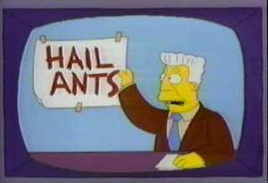 Image: http://edge1.pokerlistings.com/assets/photos/hail-ants.png?t=1343757299