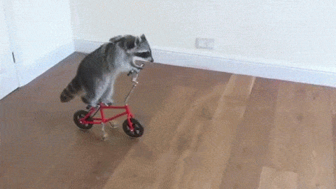 Image: https://us.v-cdn.net/5019667/uploads/editor/qn/tfpy81t1rz9a.gif
