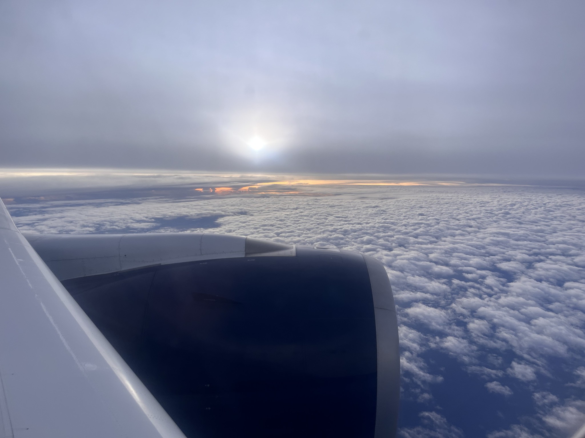 Image: https://photos.smugmug.com/Family/2025/i-MbCnW5r/0/MbL5tMZvzNGsxgjxbNGKjScRKGbLb5Vw7vShVVsQf/X4/IMG_3624-X4.jpg