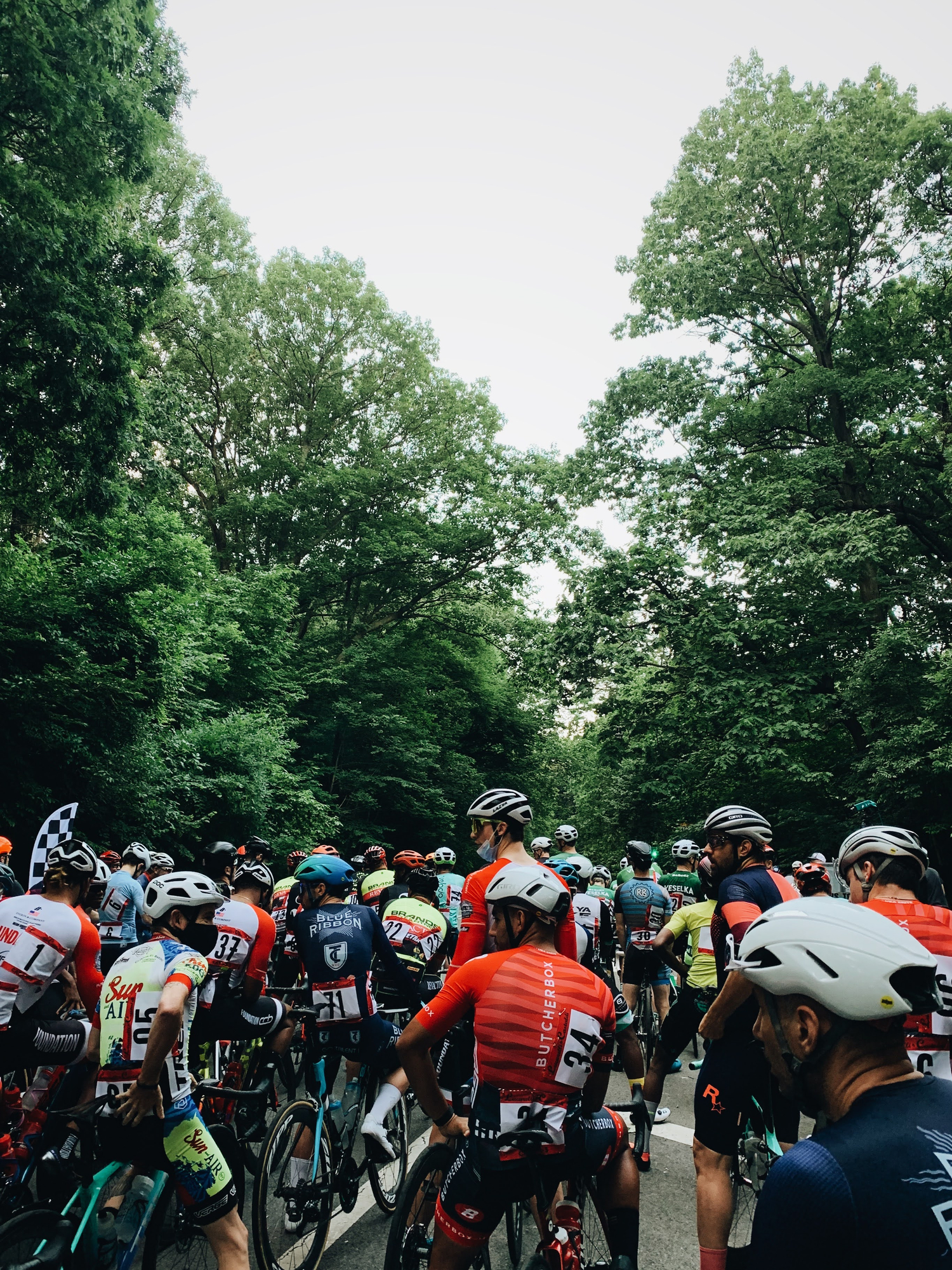 Image: https://us.v-cdn.net/5019667/uploads/editor/3k/hh5mpm8p5kje.jpg