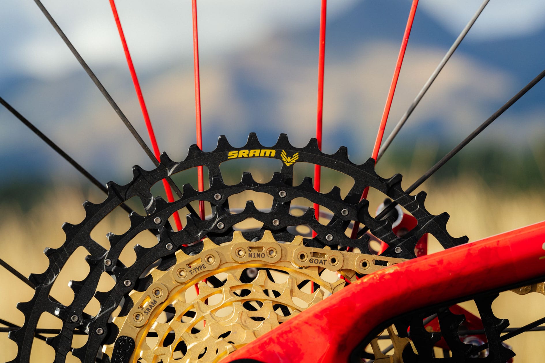 Image: https://escapecollective.com/content/images/2025/09/N1NO_WC_LENZERHEIDE_2025_PHOTO_BY_PIPERALBRECHT_10.jpg