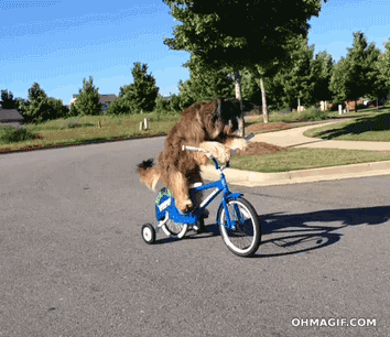 Image: https://us.v-cdn.net/5019667/uploads/editor/8v/skqcrzv3iqy6.gif