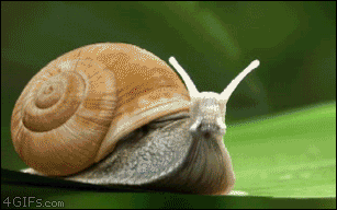Image: https://us.v-cdn.net/5019667/uploads/editor/8z/ya3rbzfs1tap.gif