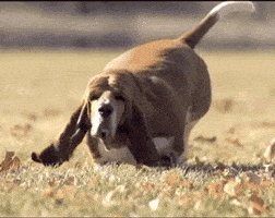 Image: https://media4.giphy.com/media/QTvYcj77RjkQ/200_s.gif