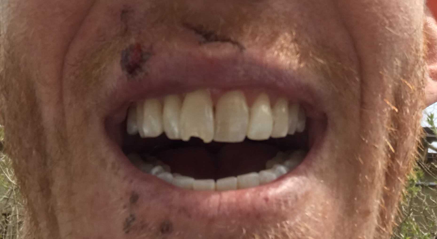 Image: https://us.v-cdn.net/5019667/uploads/editor/9l/t5fgwhroblgh.jpg