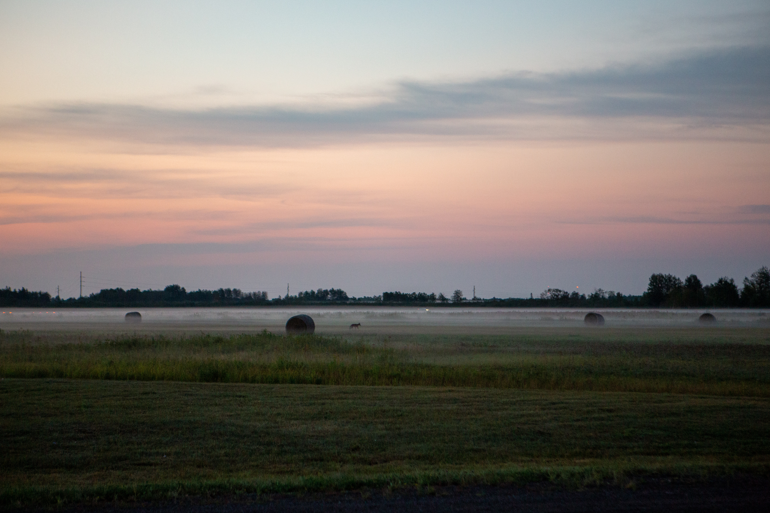 Image: https://photos.smugmug.com/photos/i-pxRC7Qc/0/1a318a23/X5/i-pxRC7Qc-X5.jpg