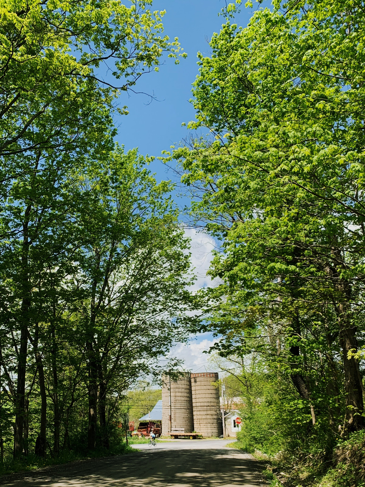 Image: https://us.v-cdn.net/5019667/uploads/editor/kl/kj08r19m8b36.jpg